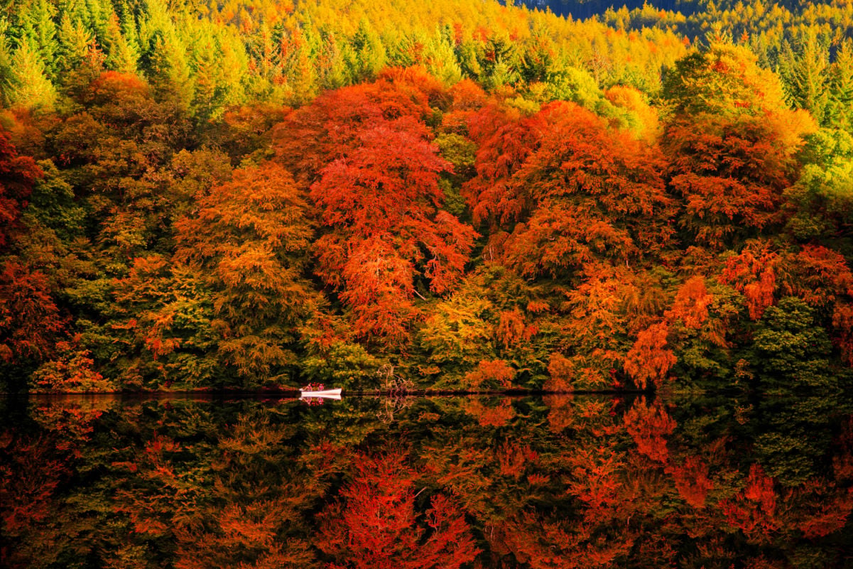 Autumn colour trees and boat on water at loch Faskally with mirror reflection on water located in Pitlochry, Perthshire, Scotland.